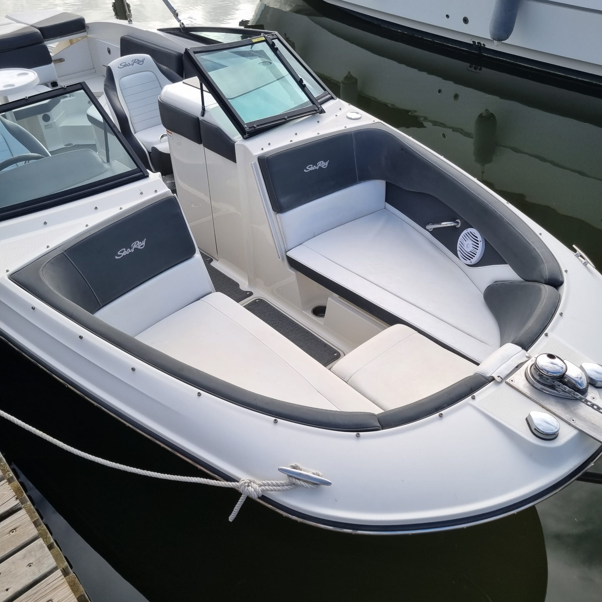 Photo Sea ray - spx 230