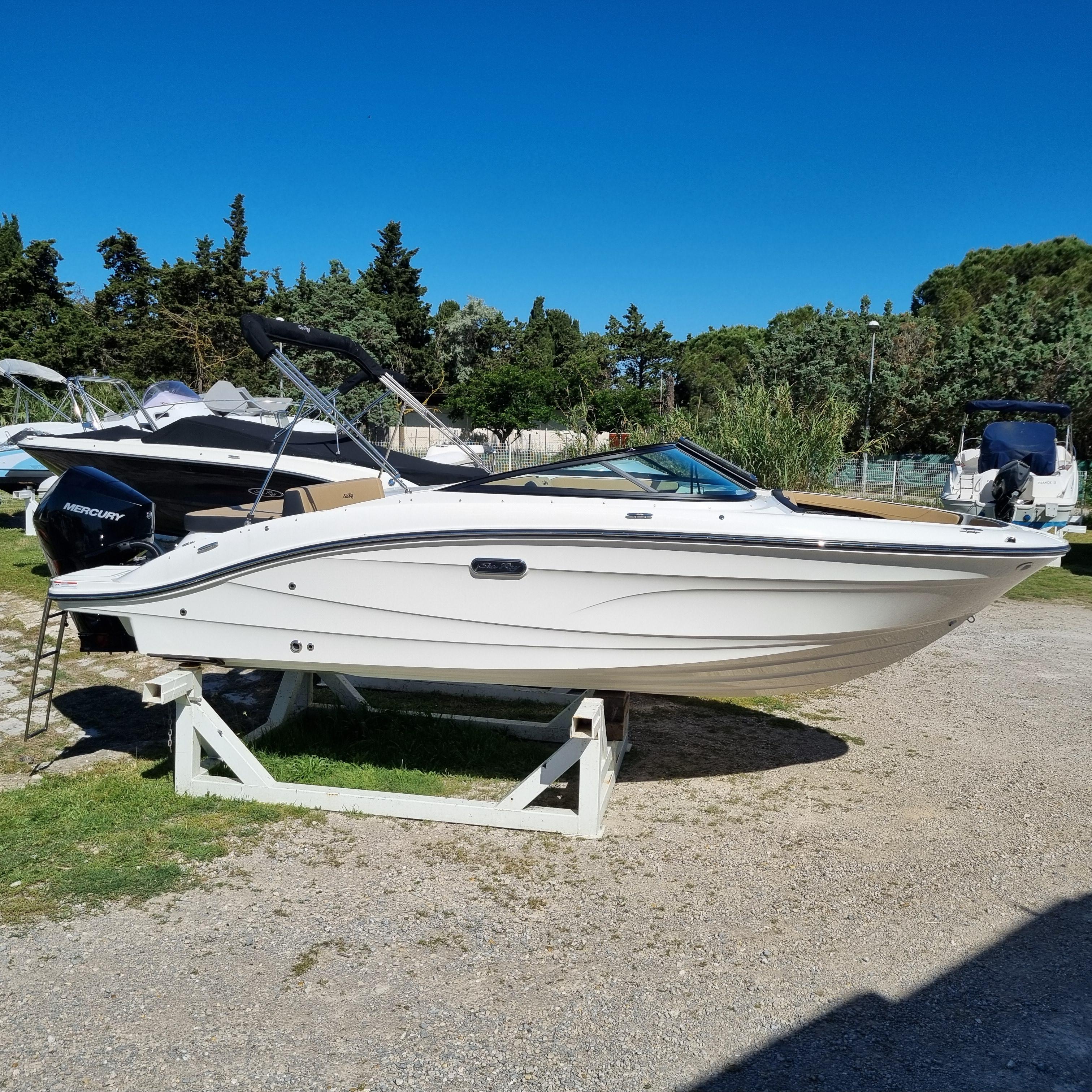 Photo Sea ray - spx 210 hors bord