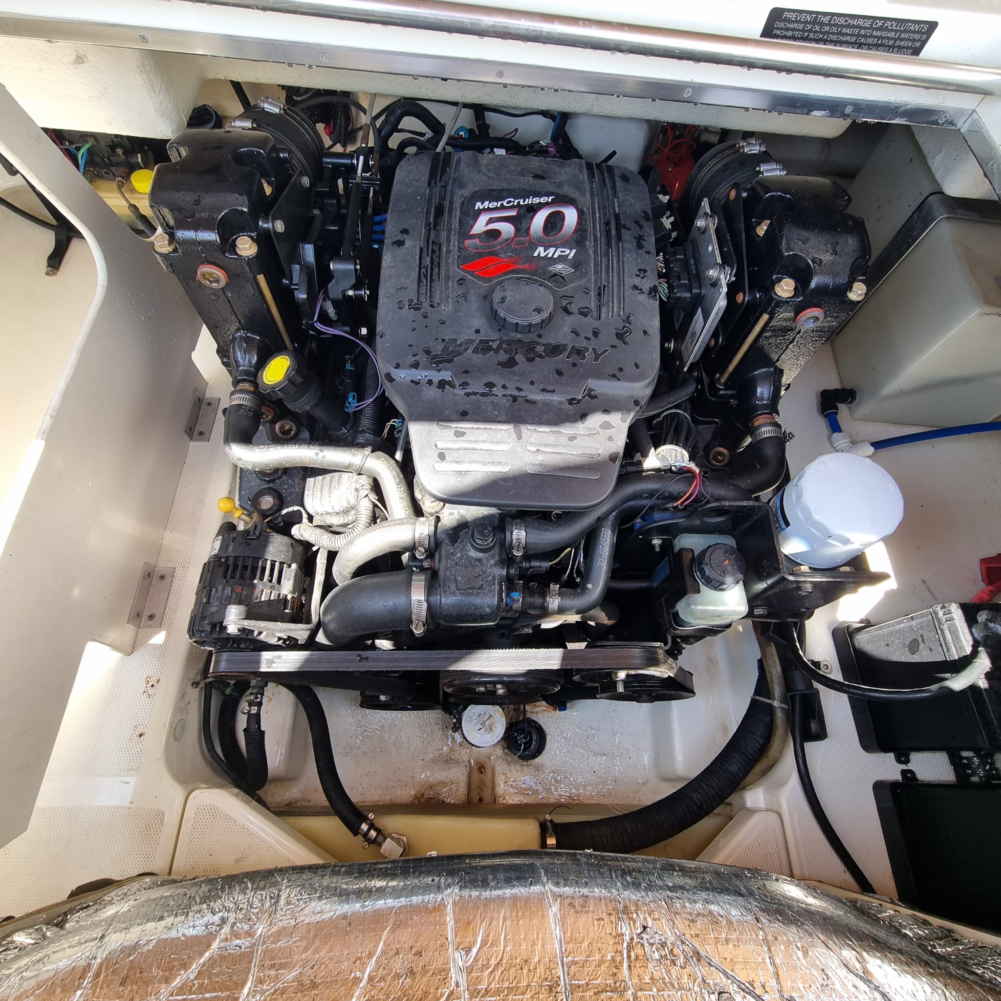 Photo Sea Ray 240 Sun Sport