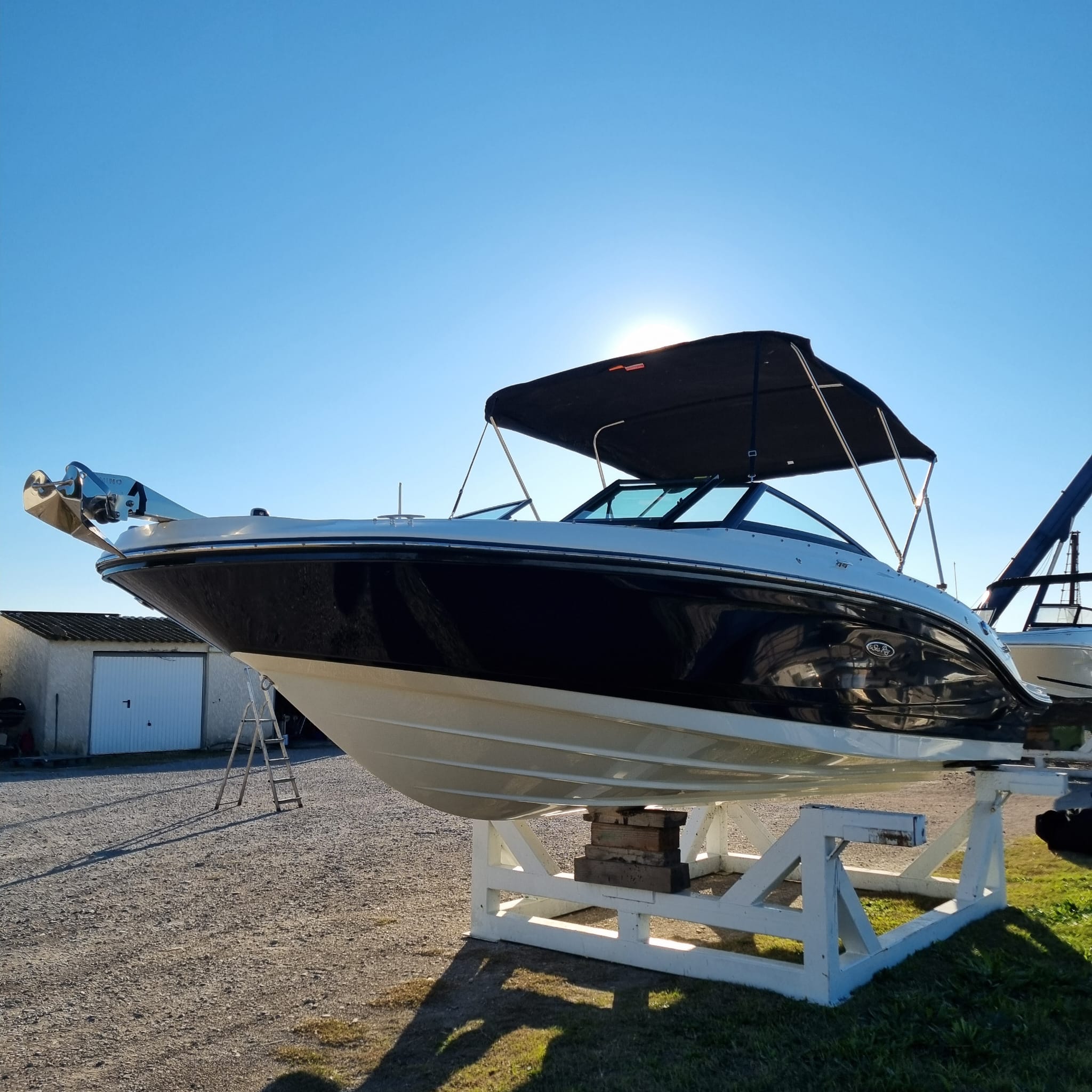 Photo Sea ray - spx 210 hors bord