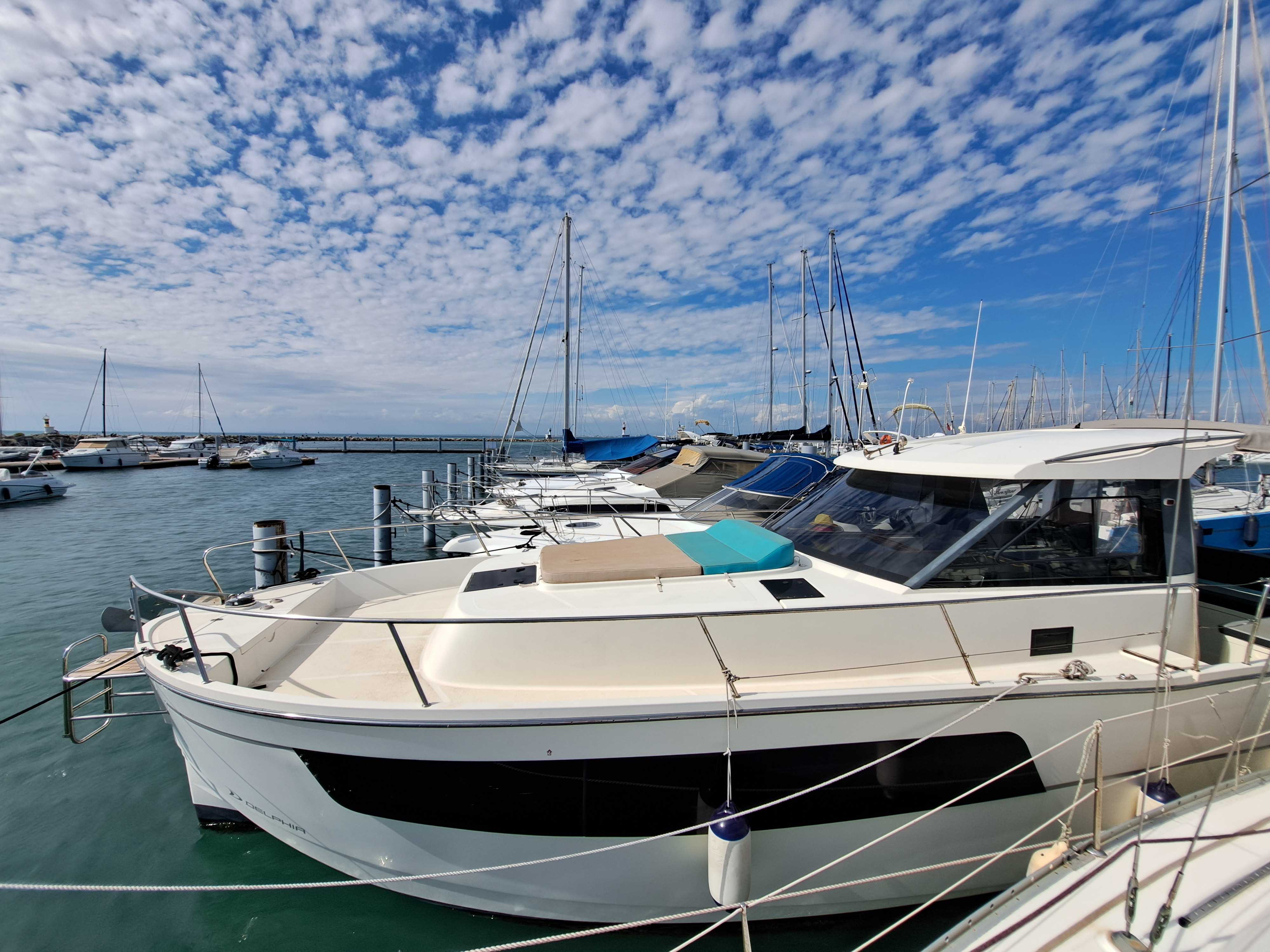 Photo Delphia - delphia 1100