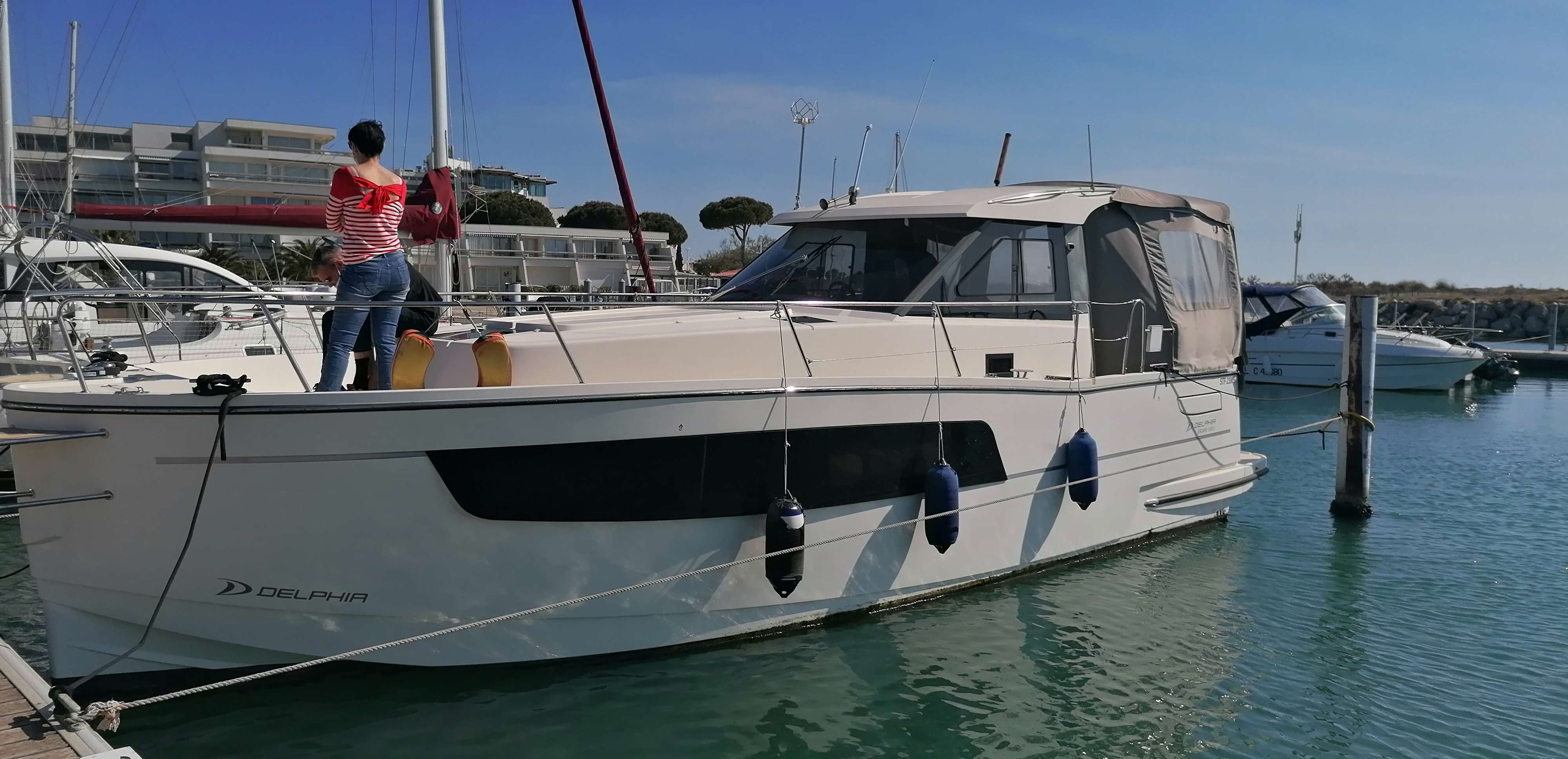 Photo Delphia - delphia 1100