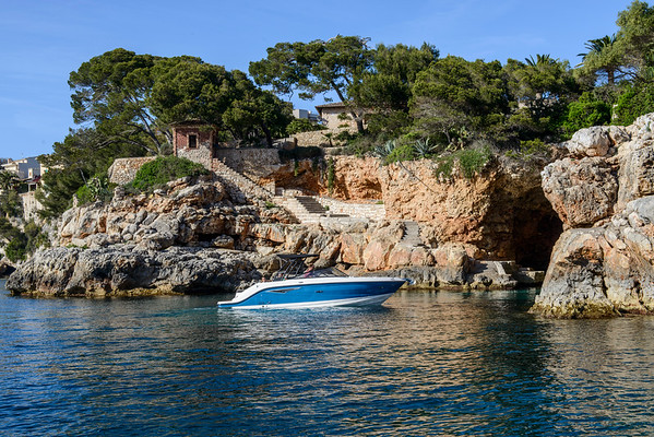 Photo Sea ray - slx250eu