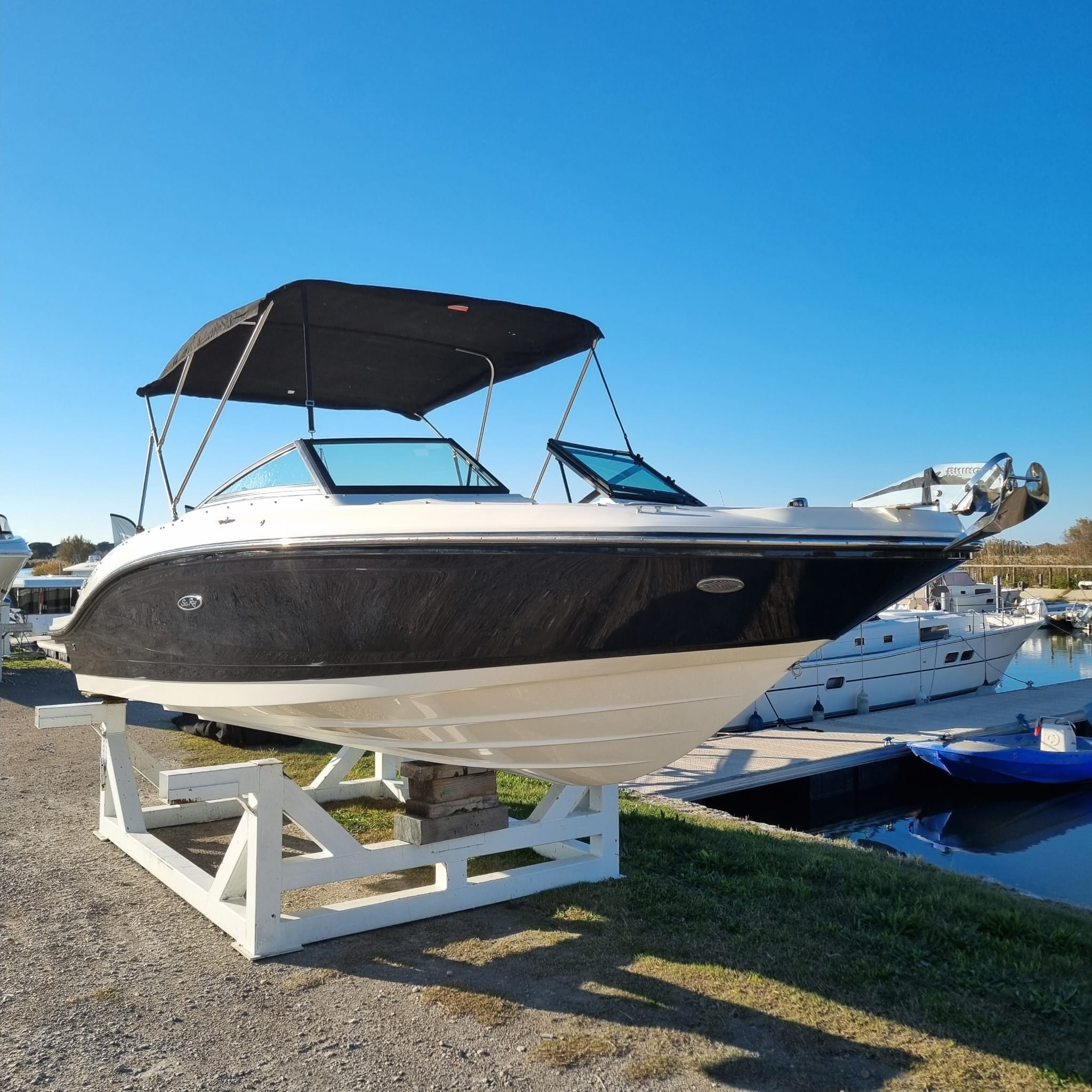 Photo Sea ray - spx 210 hors bord