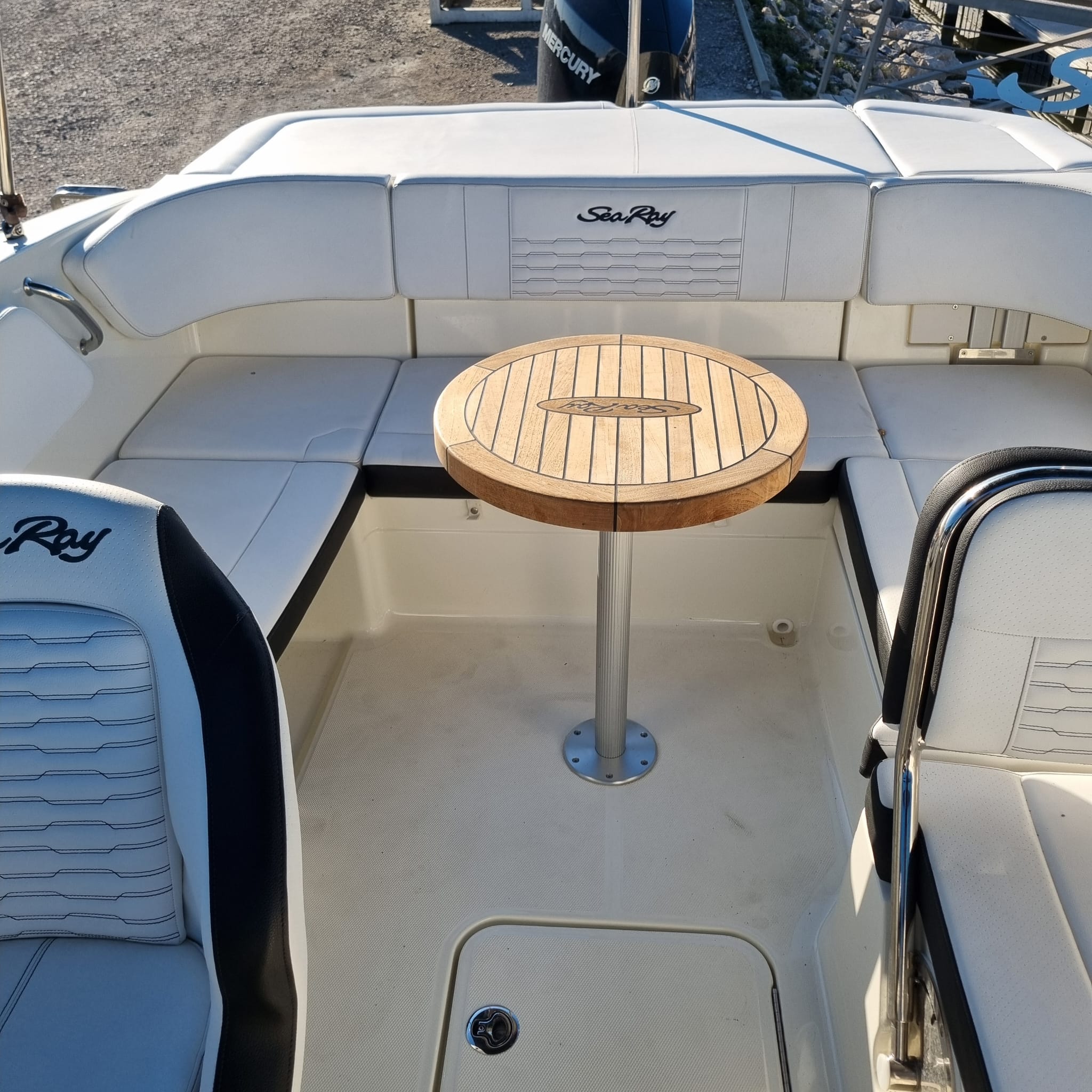 Photo Sea ray - spx 210 hors bord