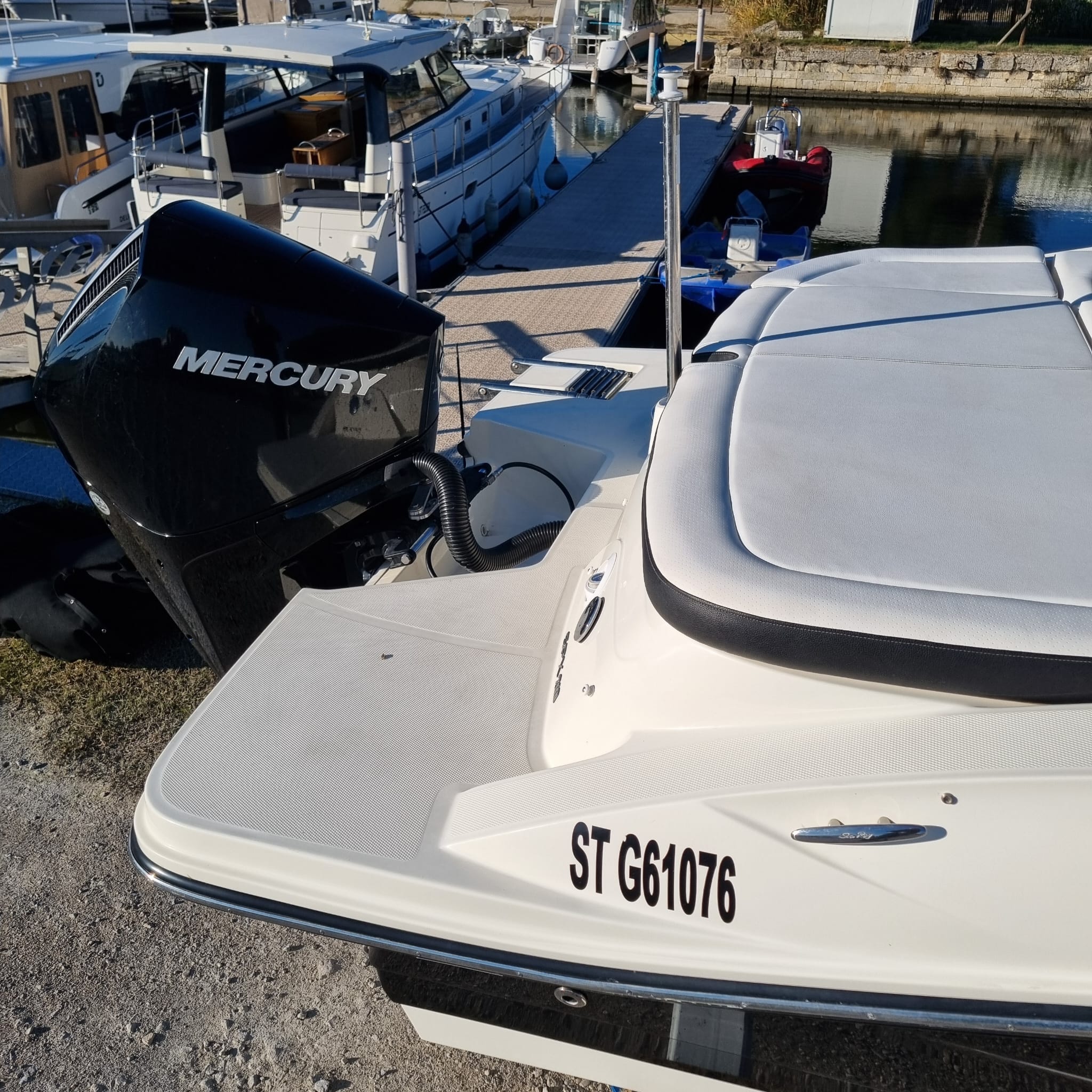 Photo Sea ray - spx 210 hors bord